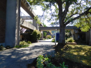 Lane Community Collegeキャンパスツアー中の写真