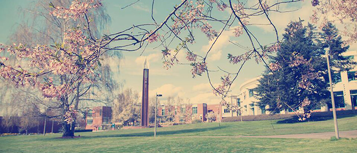 アメリカ大学の入学時期