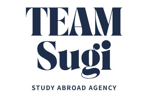 TEAM Sugi (チームスギー)