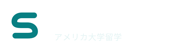 TEAM Sugi（チームスギー）